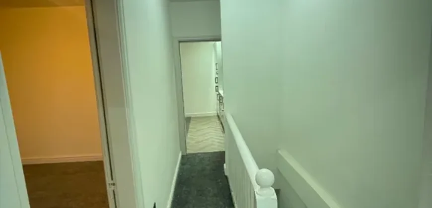 1 bed flat to rent