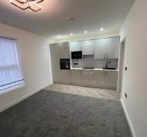 1 bed flat to rent